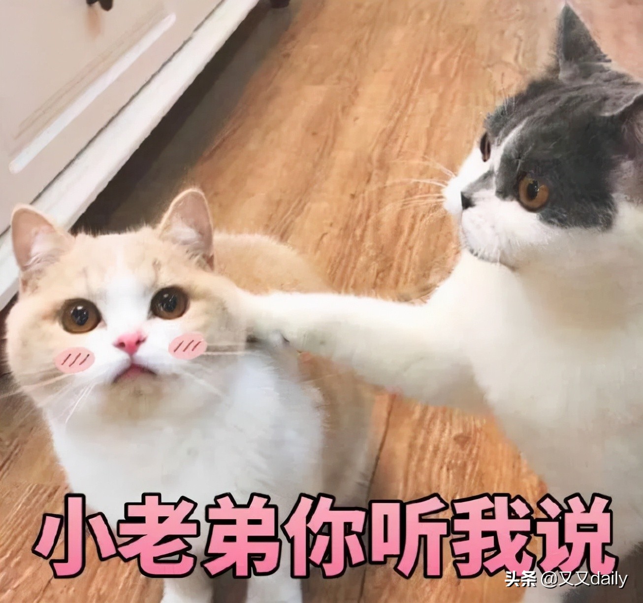 相亲被拒绝是放弃还是继续追求,相亲遇到女生条件好的要不要放弃