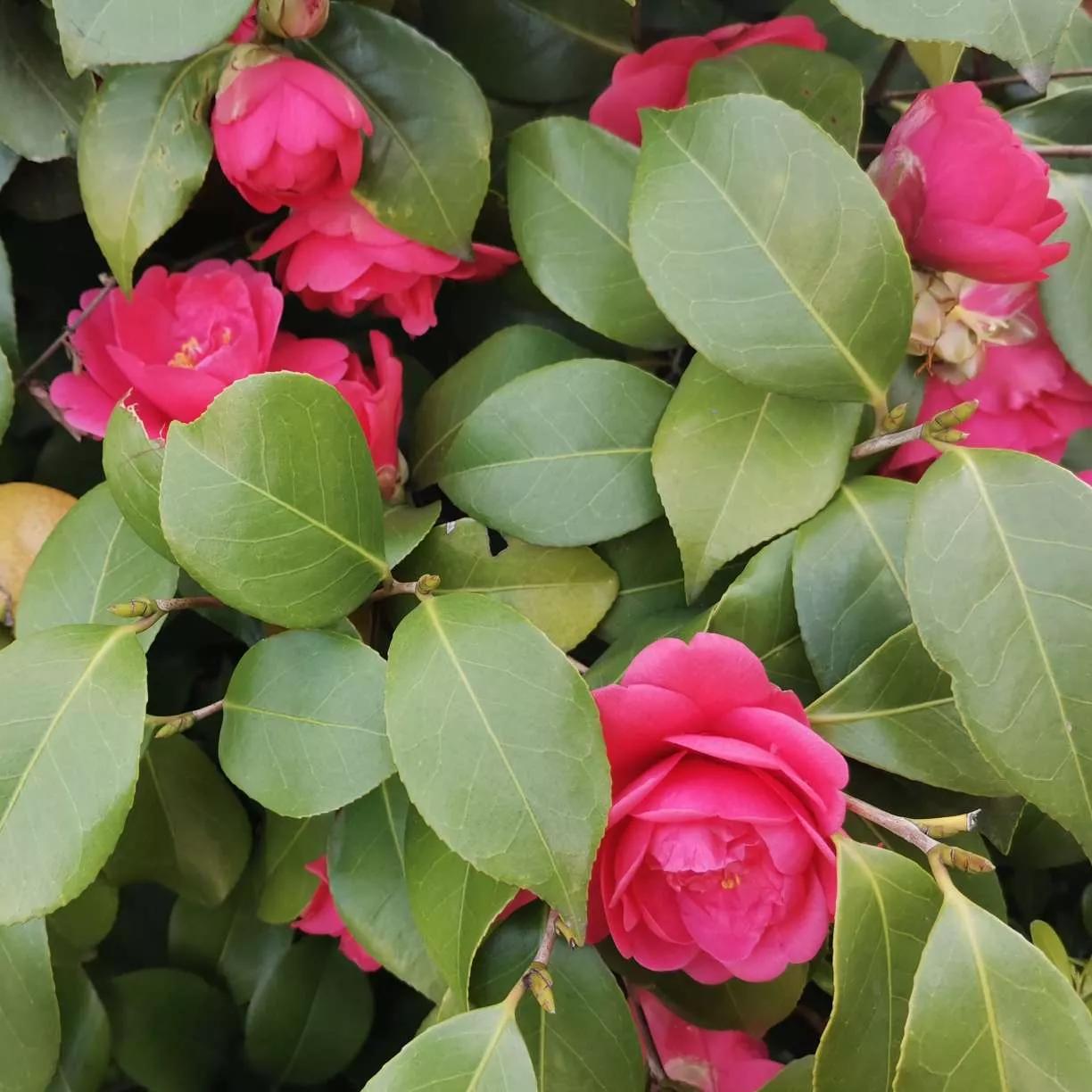 岁月斑驳留下来的都是静好时光,岁月斑驳愿时光静好