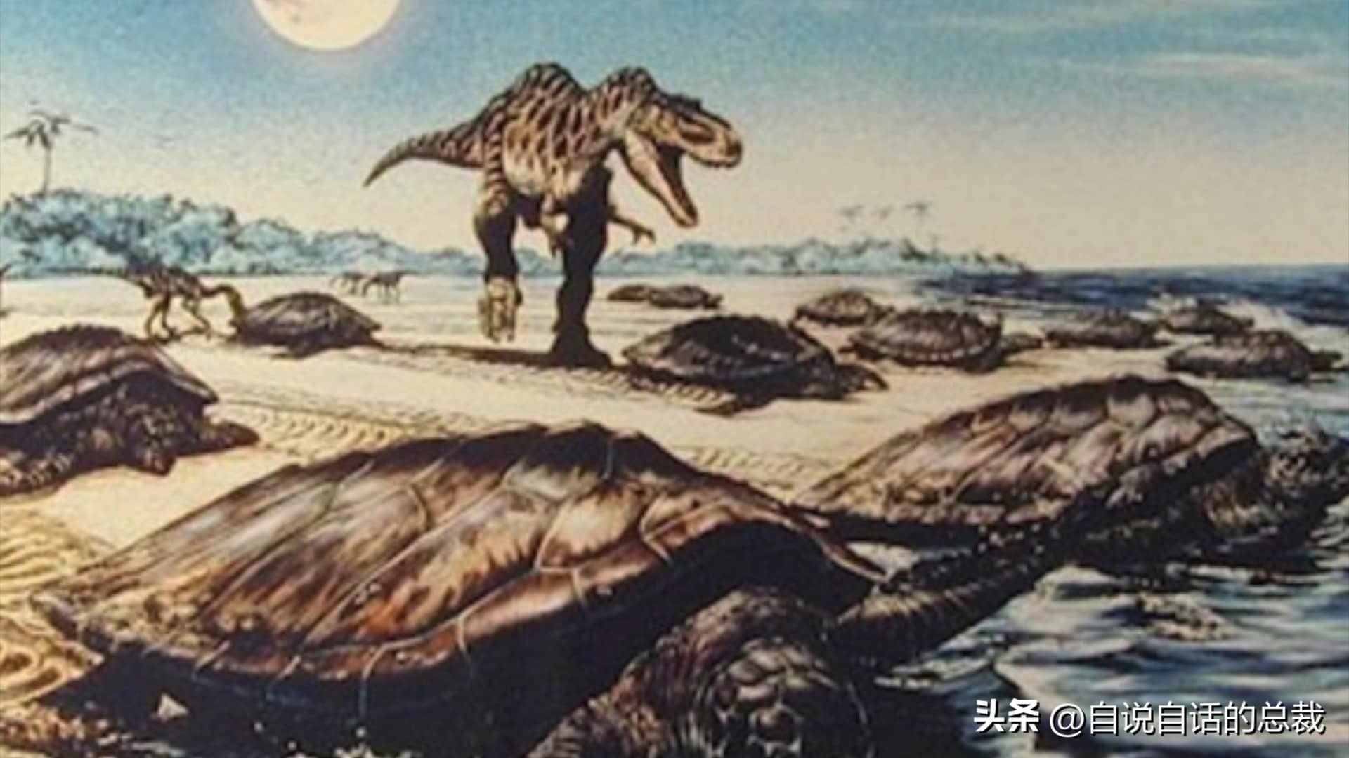 龟蛇大战,龟蛇大战故事