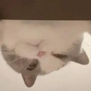 全球顶尖高中排行榜公布，中国14所学校上榜