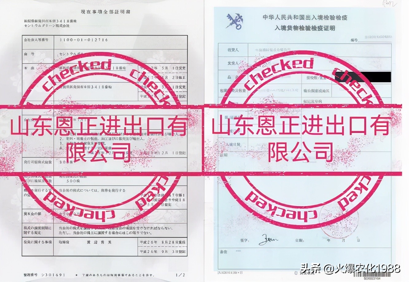 意大利、荷兰、比利时原装进口，交500顶2000；支持货到付款