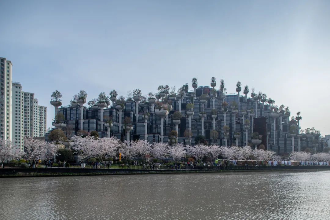 上海小众玩法攻略,上海攻略小众