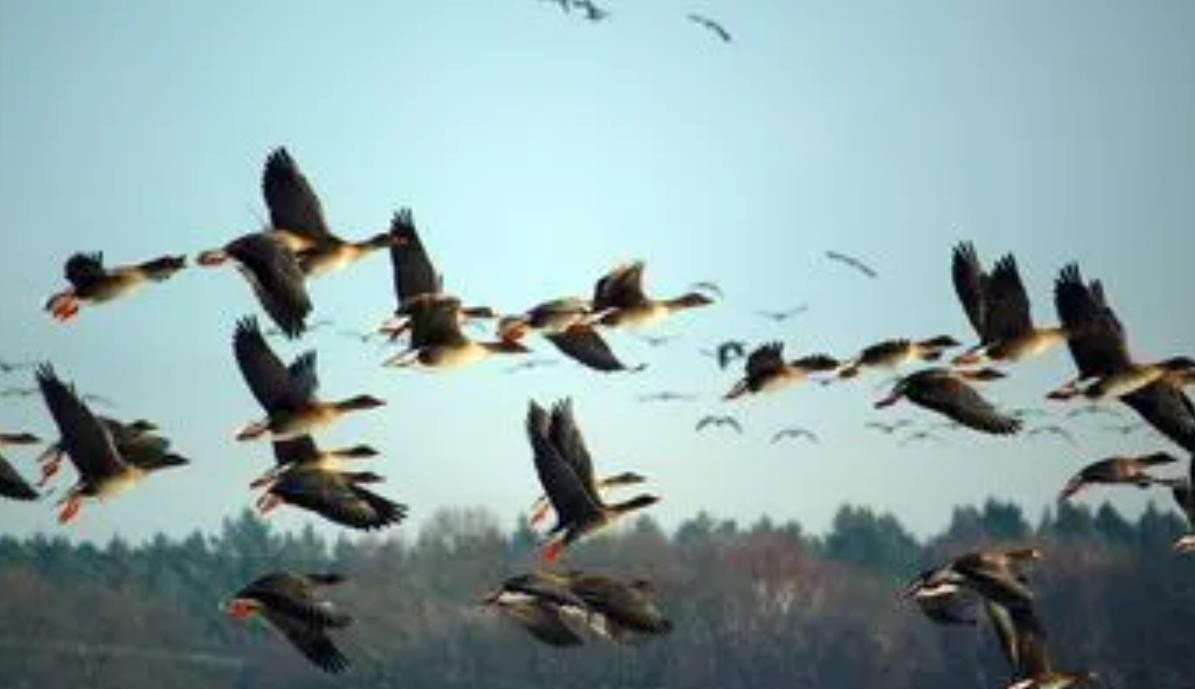 孩子姓名违反法律,孩子名字违法派出所不给登记