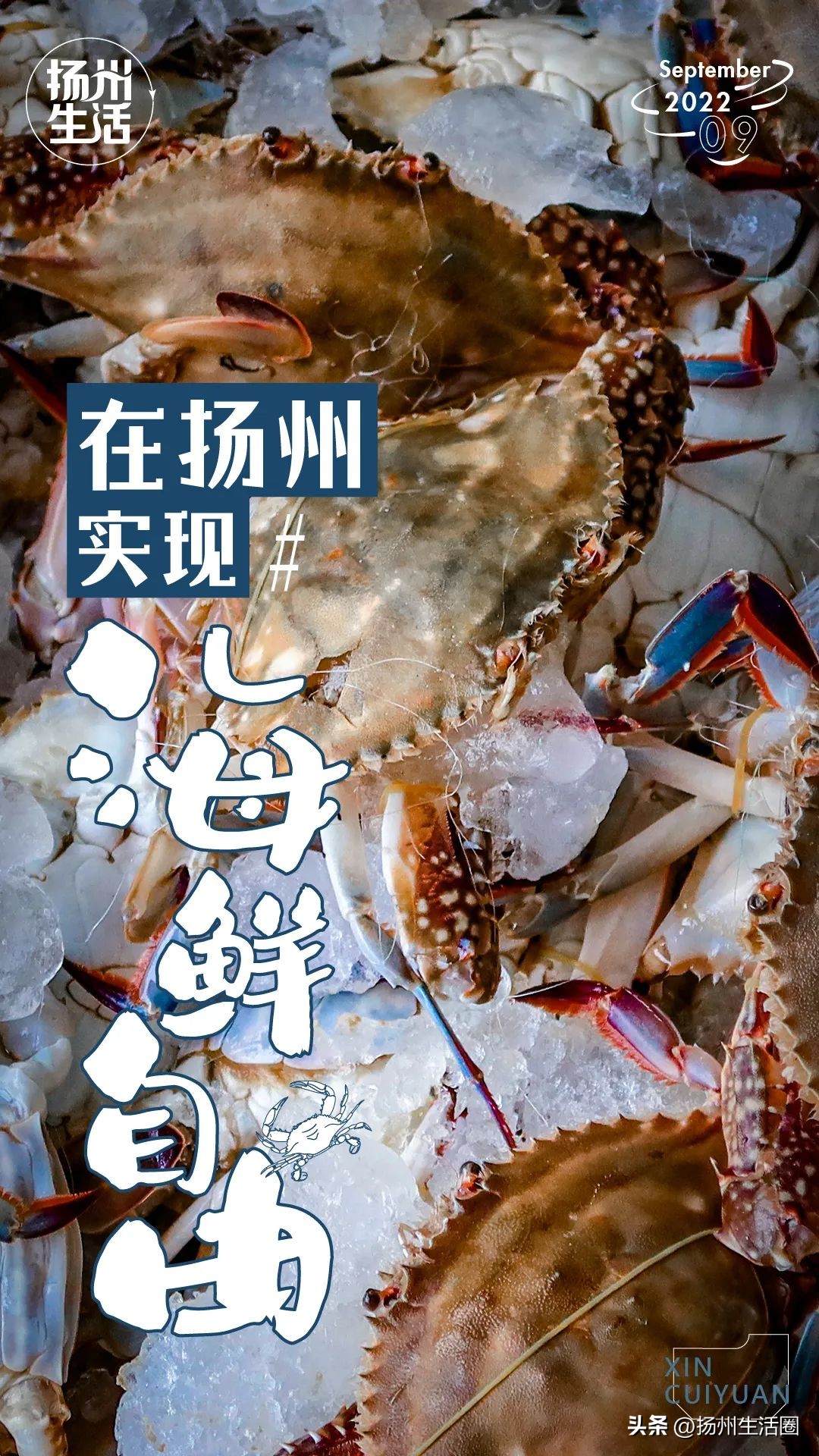 不吃一顿螃蟹，扬州人过不好这个秋天