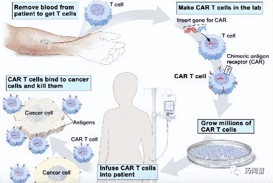 传奇生物供应商,传奇生物总部
