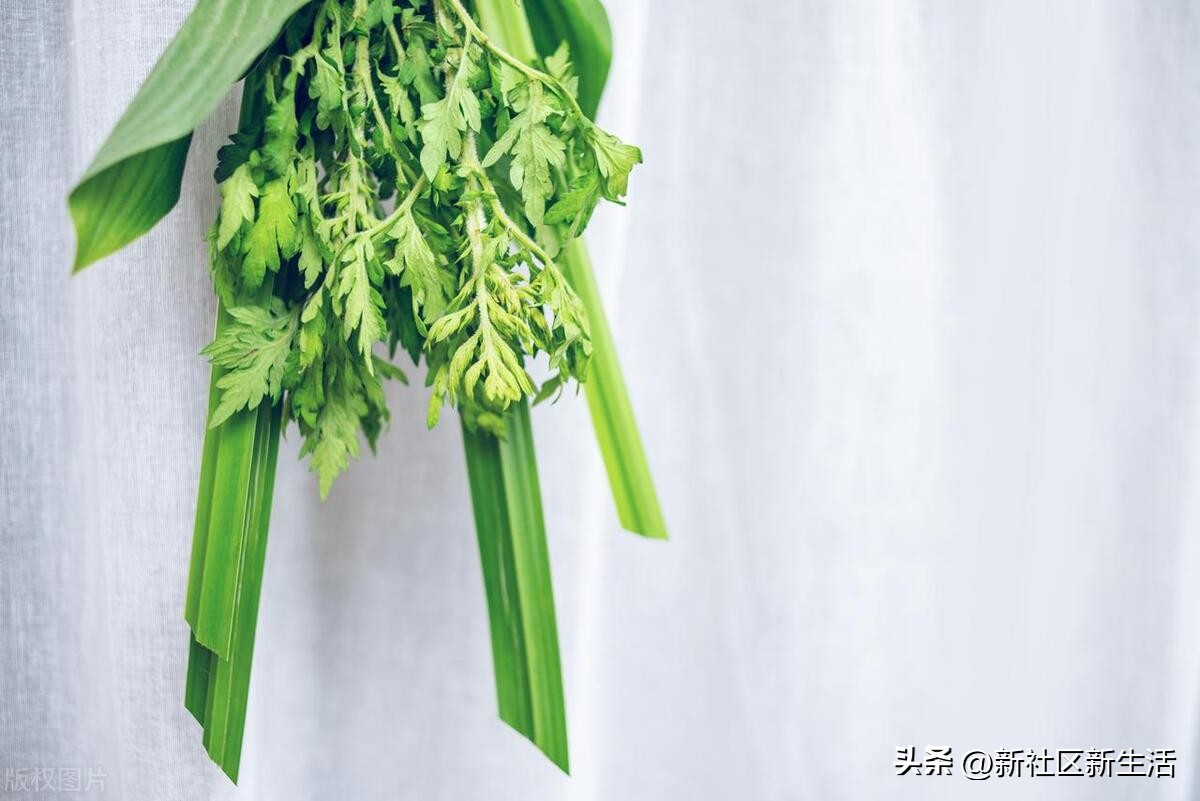 关于艾蒿、苍蒲，妈妈讲的是一个玄幻故事