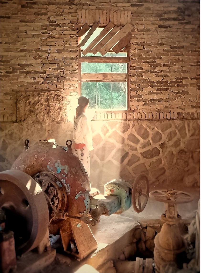 月游闽侯│七月-塘里洋里春园鲤,沉浸闽侯清凉里!