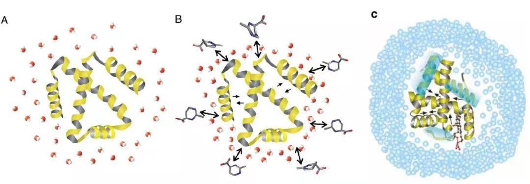 你真的会用爽肤水这些误区要避开,爽肤水到底是鸡肋还是护肤必备