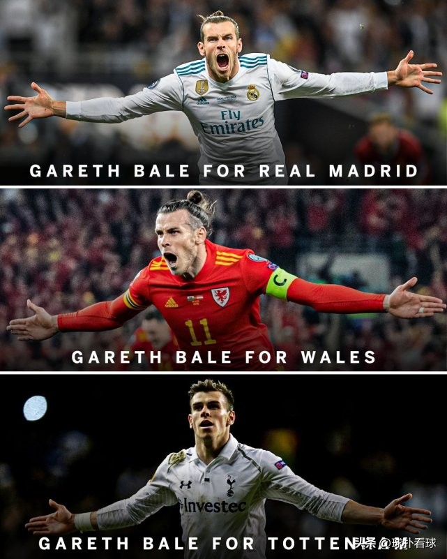 贝尔职业生涯荣誉,贝尔一个人扛着威尔士进世界杯