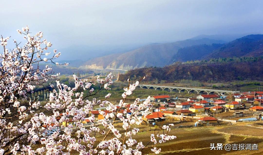 站在虎年回望牛年：延边州递交的答卷让人振奋