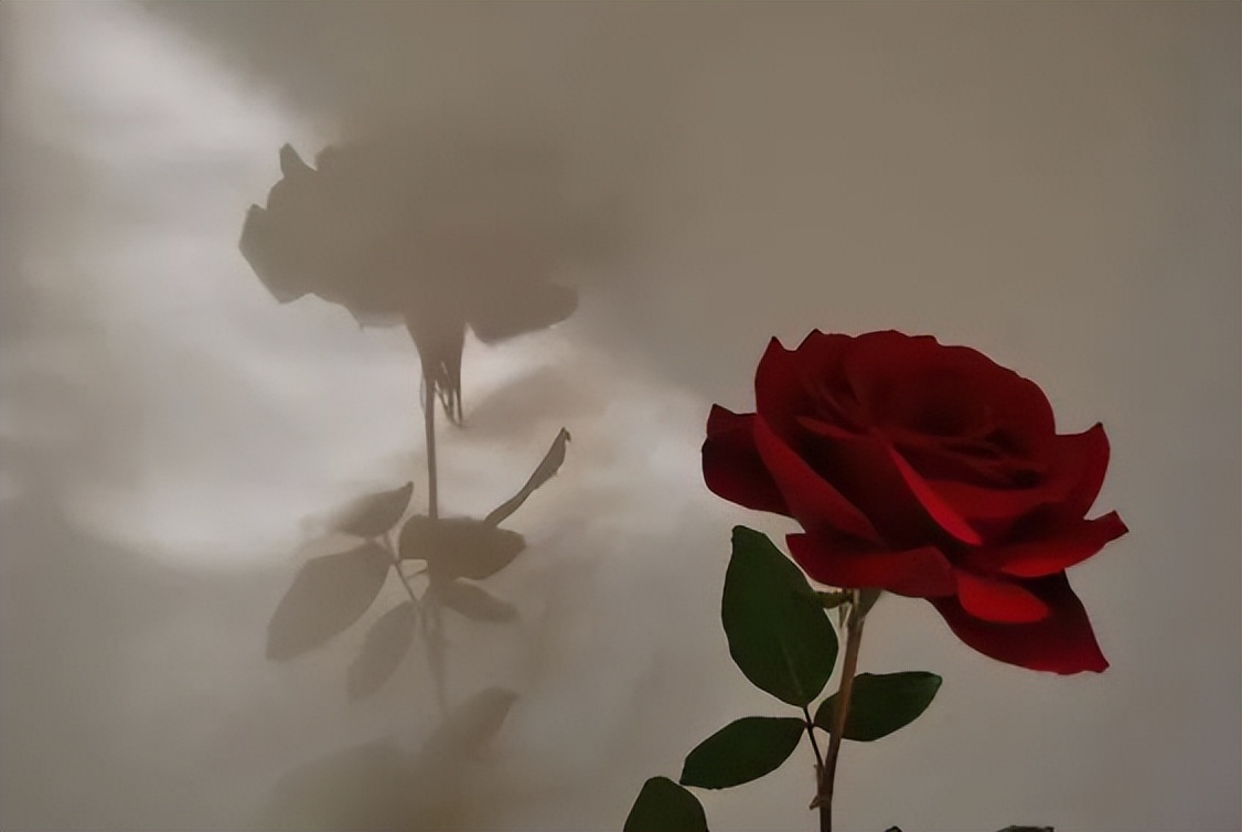 这几个危险动作你还在做吗,危险动作最好不要再做了