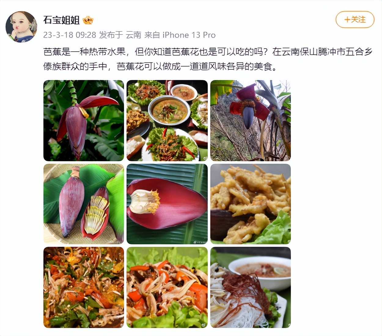 有一种叫云南的生活｜偏爱腾冲的N个理由