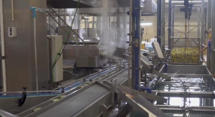 世界第一个马口铁罐头,世界第一家鱼肉罐头