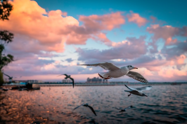 昆明有什么玩的地方推荐,昆明有哪些值得玩的地方