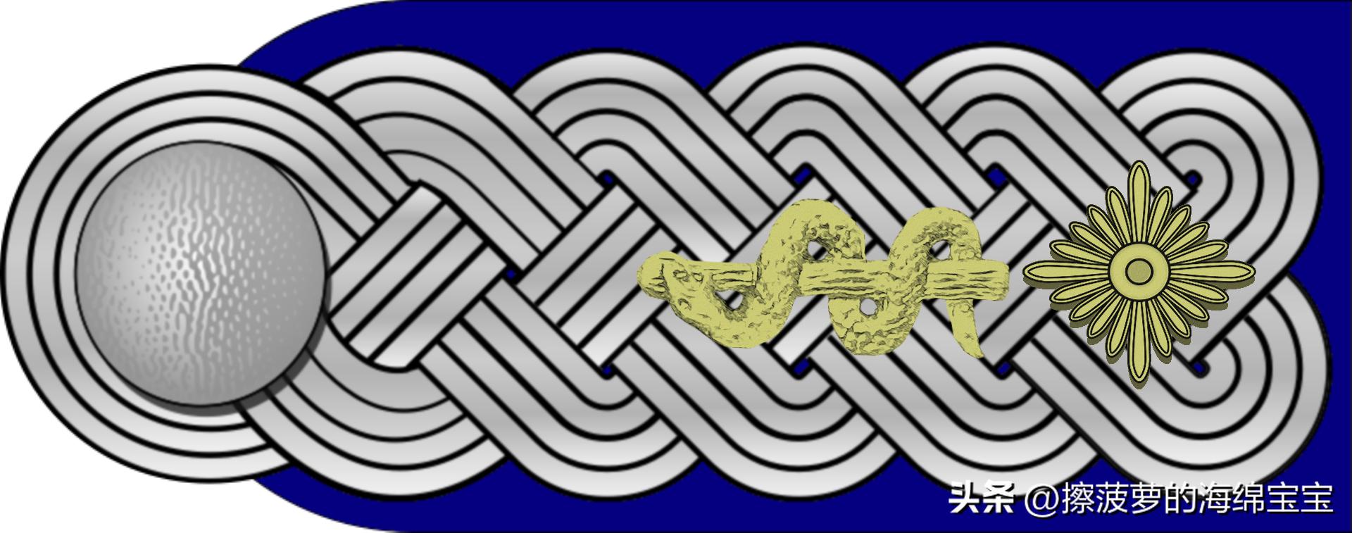 二战德国国防军医疗兵军衔标志