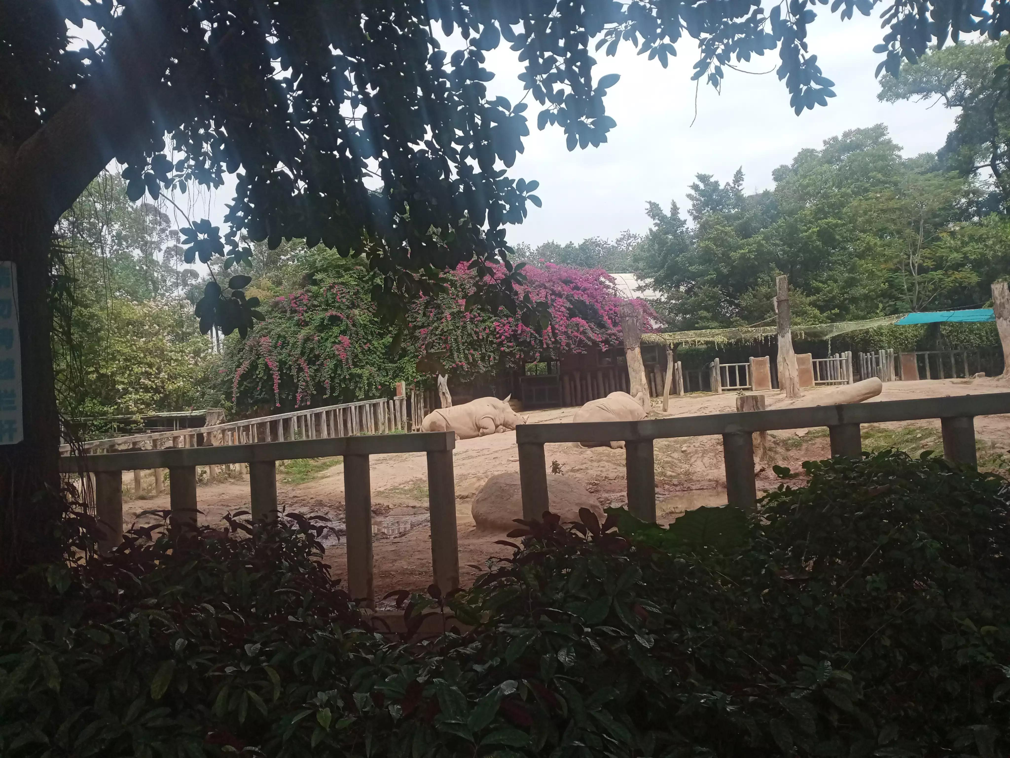 广州动物园游记,广州野生动物园