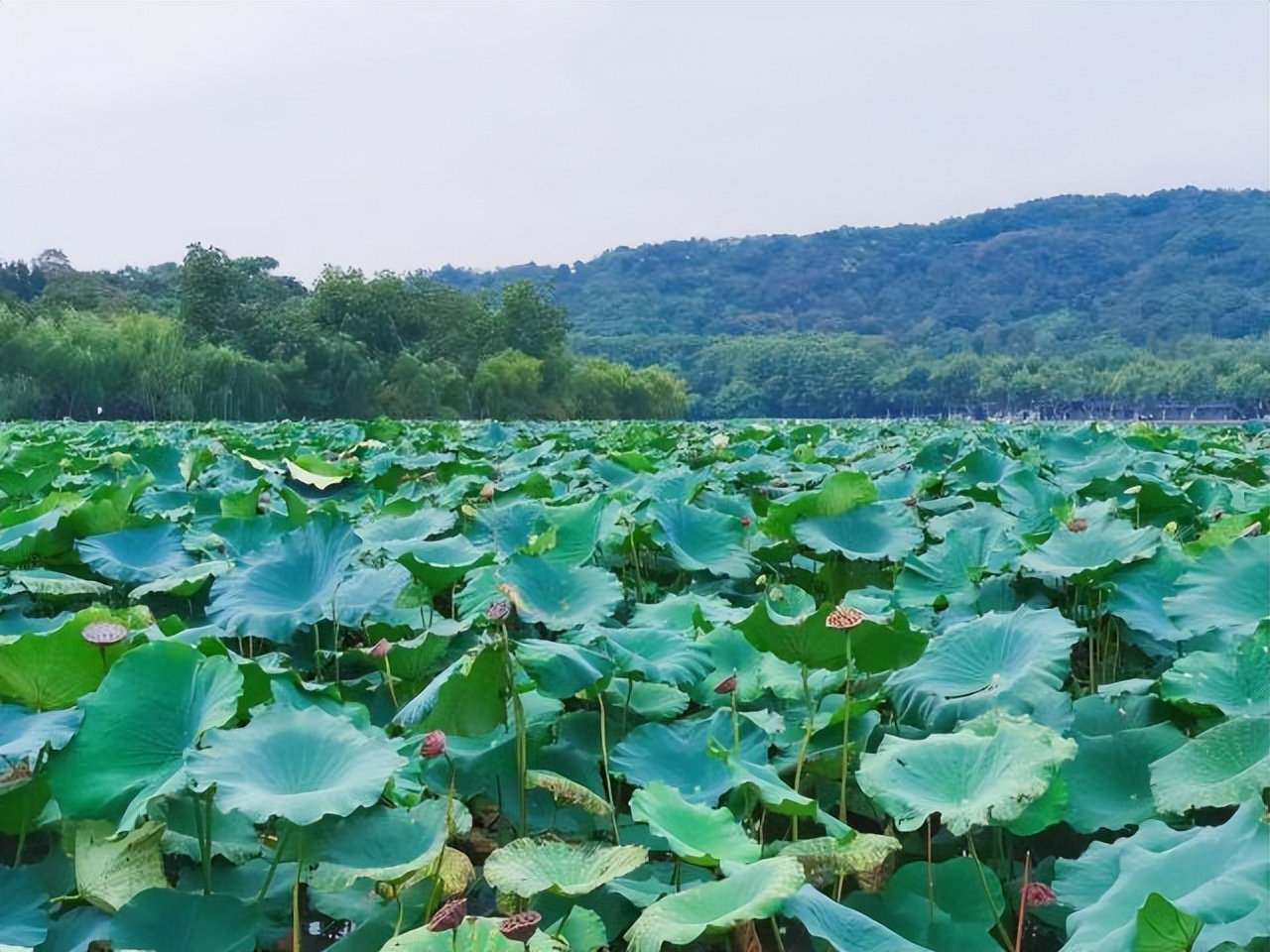 对仗工整的优美对联大全,七副对仗工整的极品对联