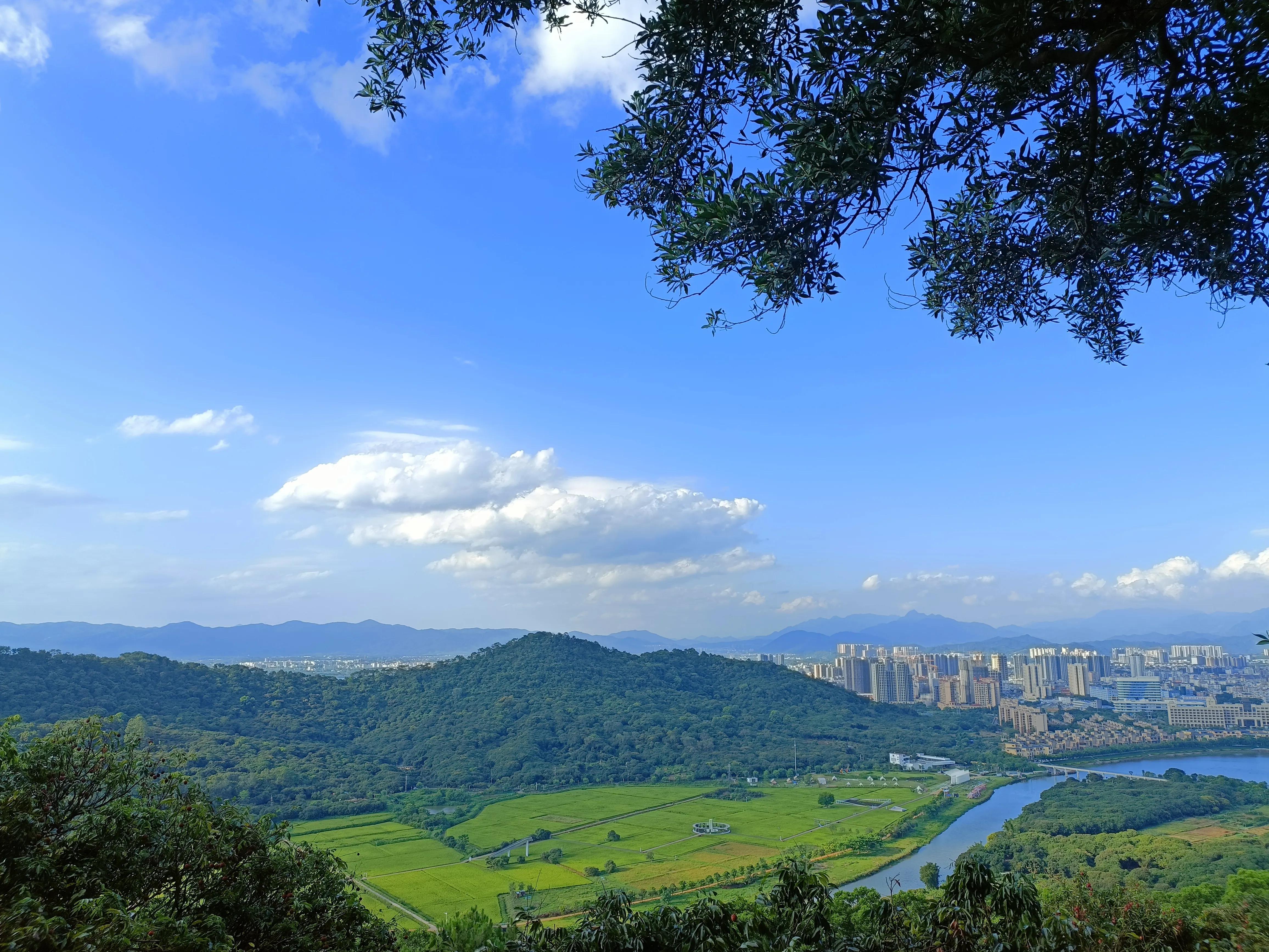 成为自由职业者四个月了，真的值得吗