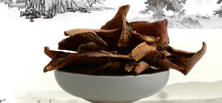 每天学一味中药石榴皮,每日一味中药