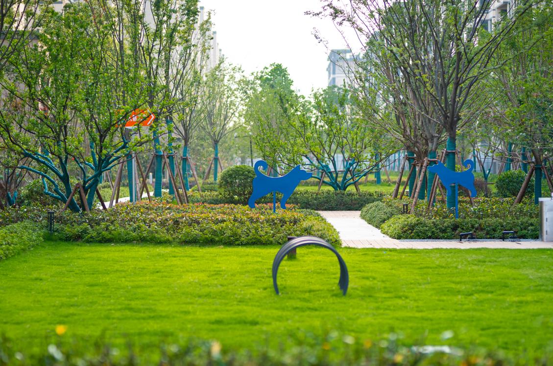 抢手！苏州太湖畔真洋房来袭