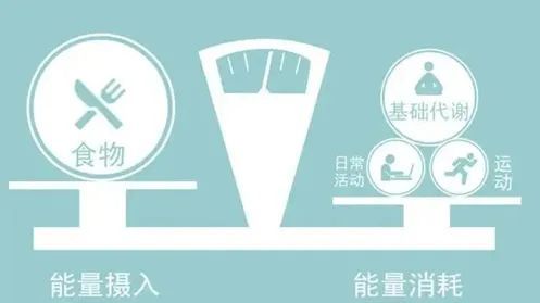 减肥要看食物的卡路里还是热量,哪些食物的热量适合减肥时吃