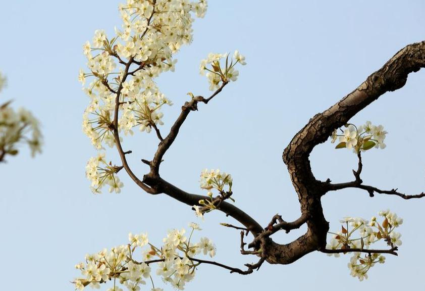 意境深远的绝美古诗词,古诗史上最唯美最断肠的七首诗词