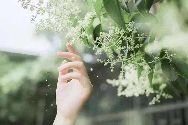 我曾踏月而来只因你在山中日落,我曾踏月而来只因你在山中