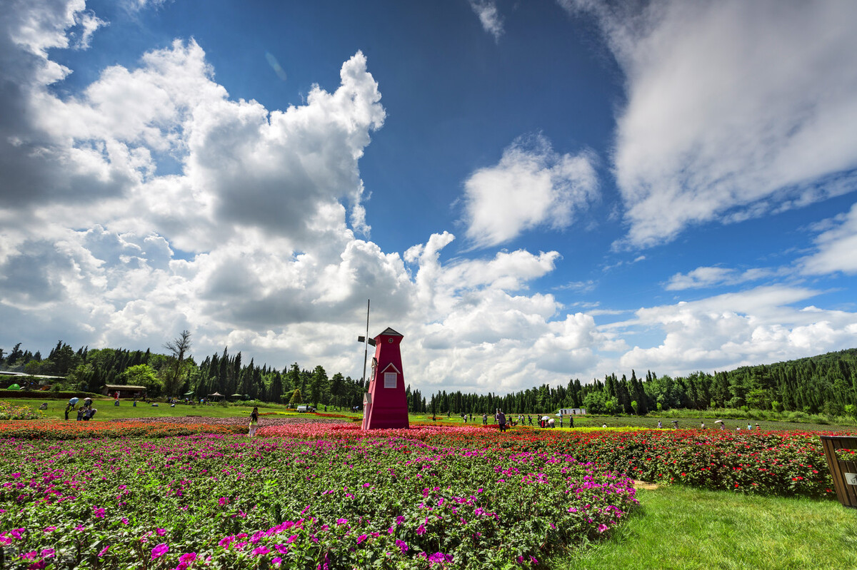 昆明气候四季如春的主要原因,昆明的气候为什么会四季如春呢