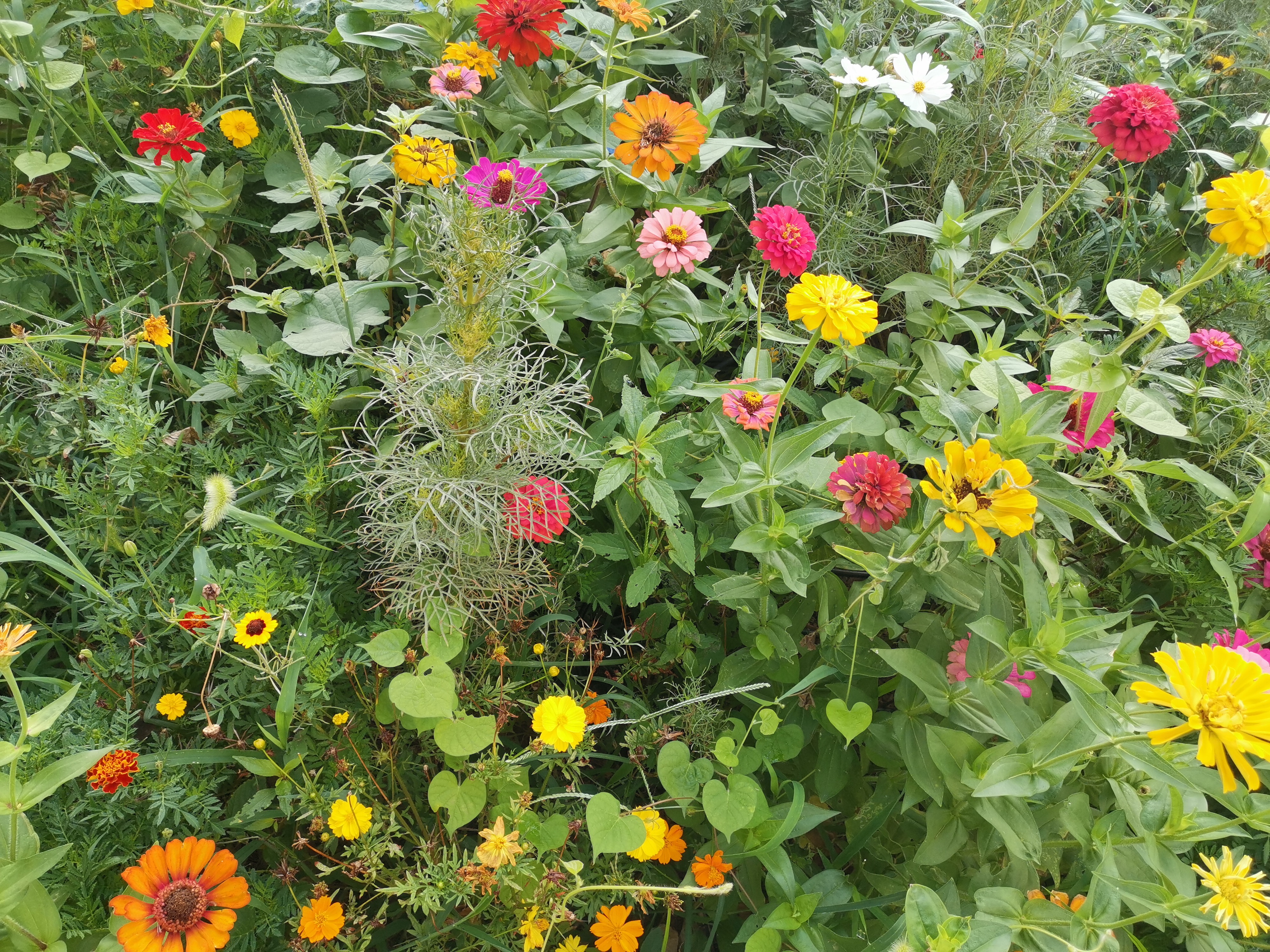 “诗豪”高水平的10首七绝，《望洞庭》第三，哪两首比它更强？