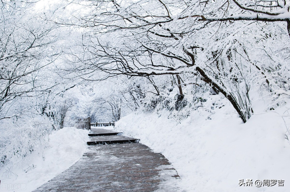 枯树赋赏析,枯树赋朗诵完整版