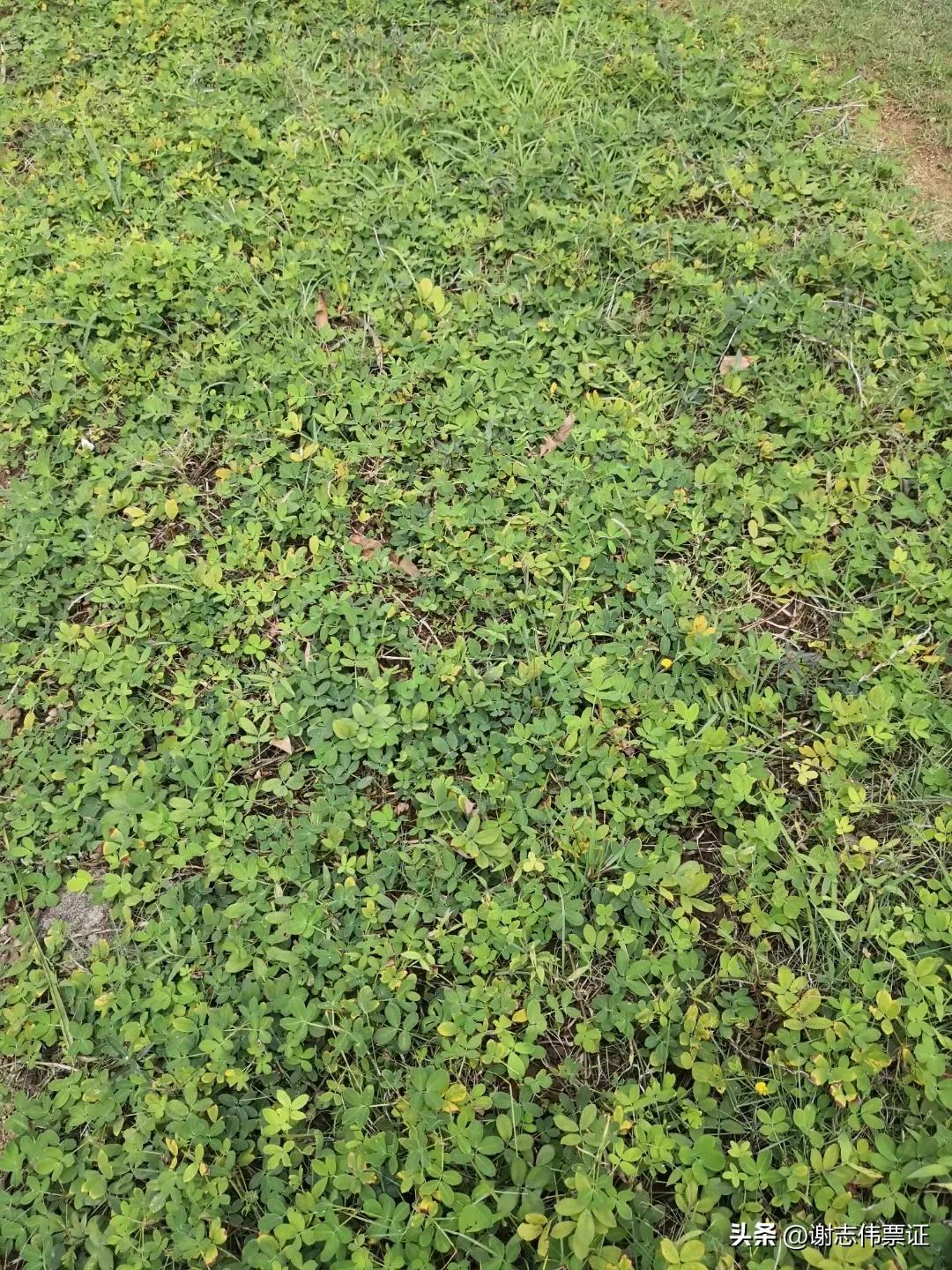 海南风情区,海南风情