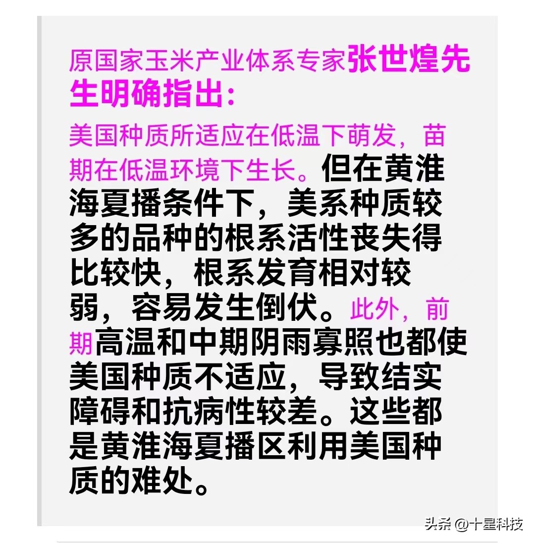 郑单958玉米新品种特征及表现,郑单958玉米品种是哪里培育的