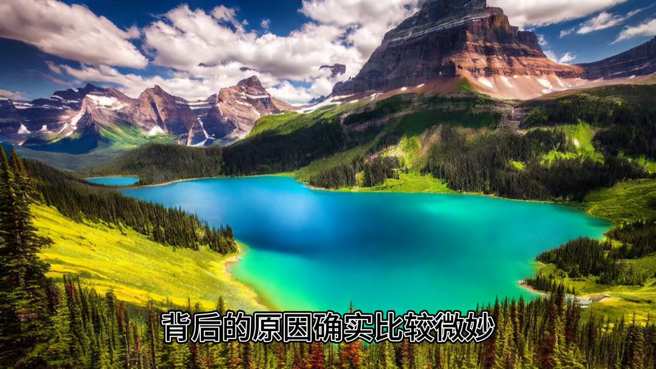 什么样的人在期货交易中能成功,什么样的东西适合做期货交易