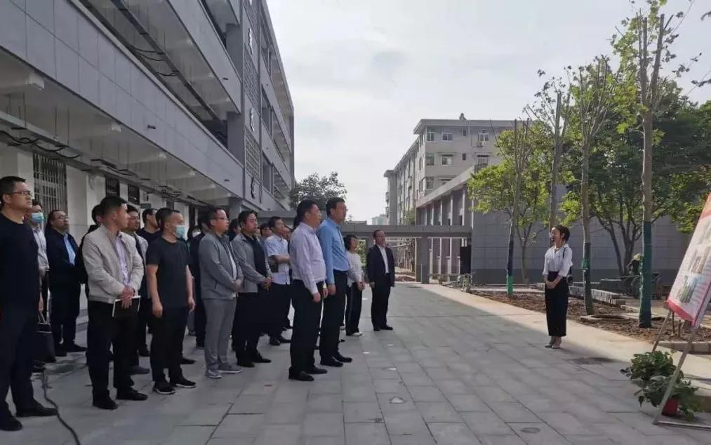 团团工作回顾,团团现在的工作