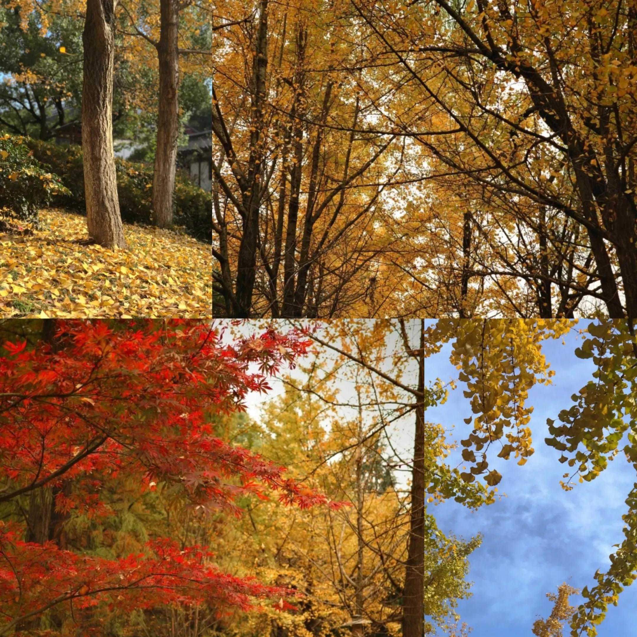 绍兴旅行景点与美食,绍兴旅行免费