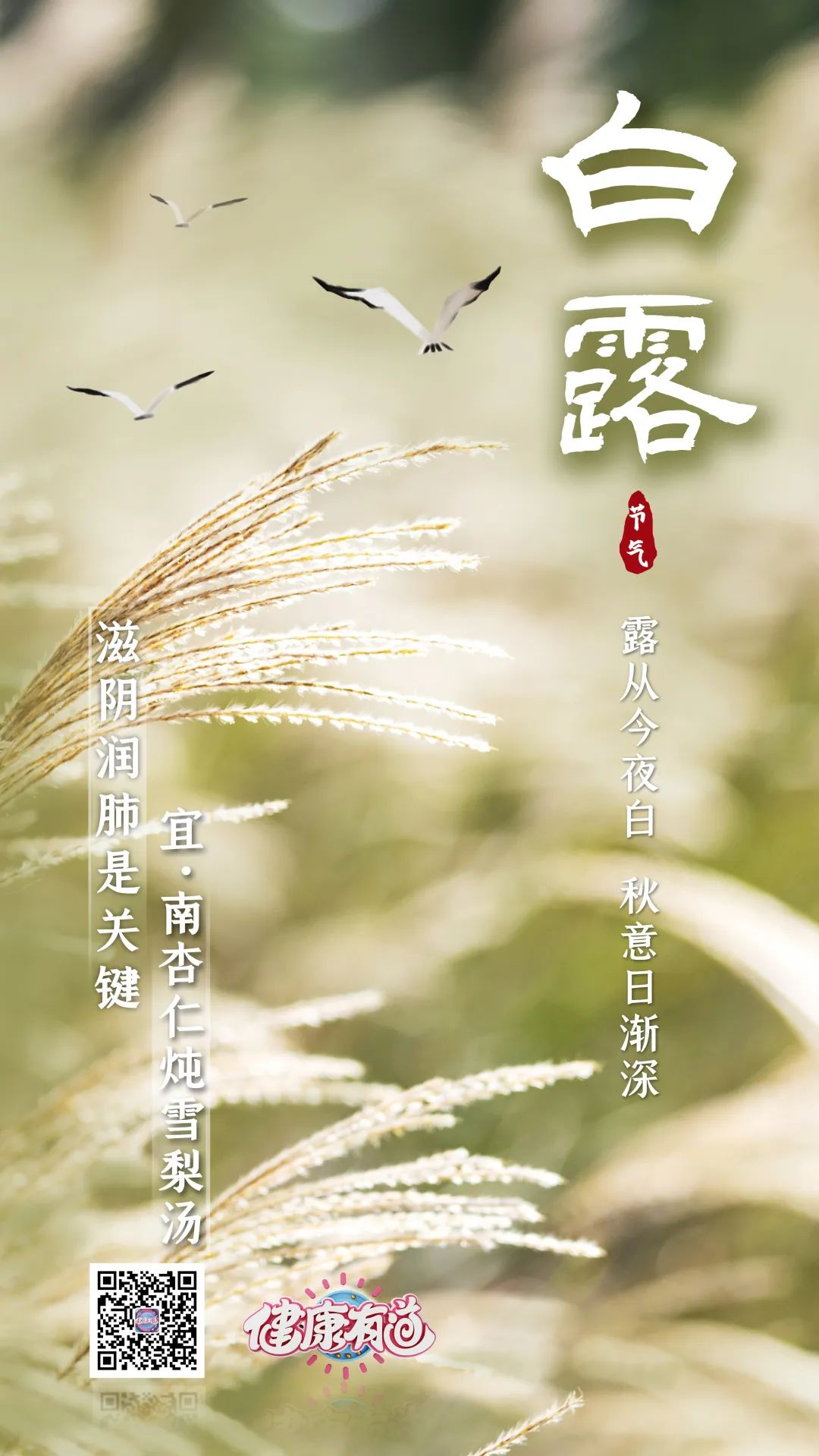 白露|秋浓养好肺,全年不受累!三招养肺防肺疾