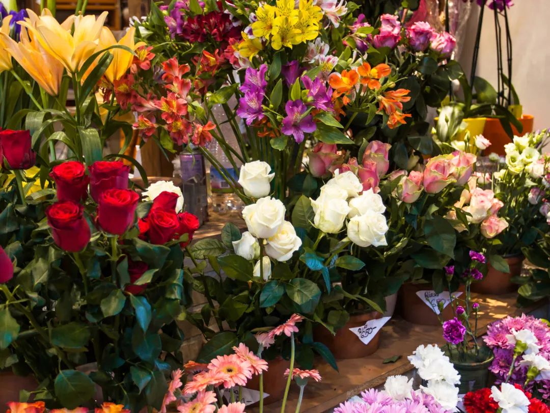 深圳最顶级的批发市场,深圳值得逛的批发市场