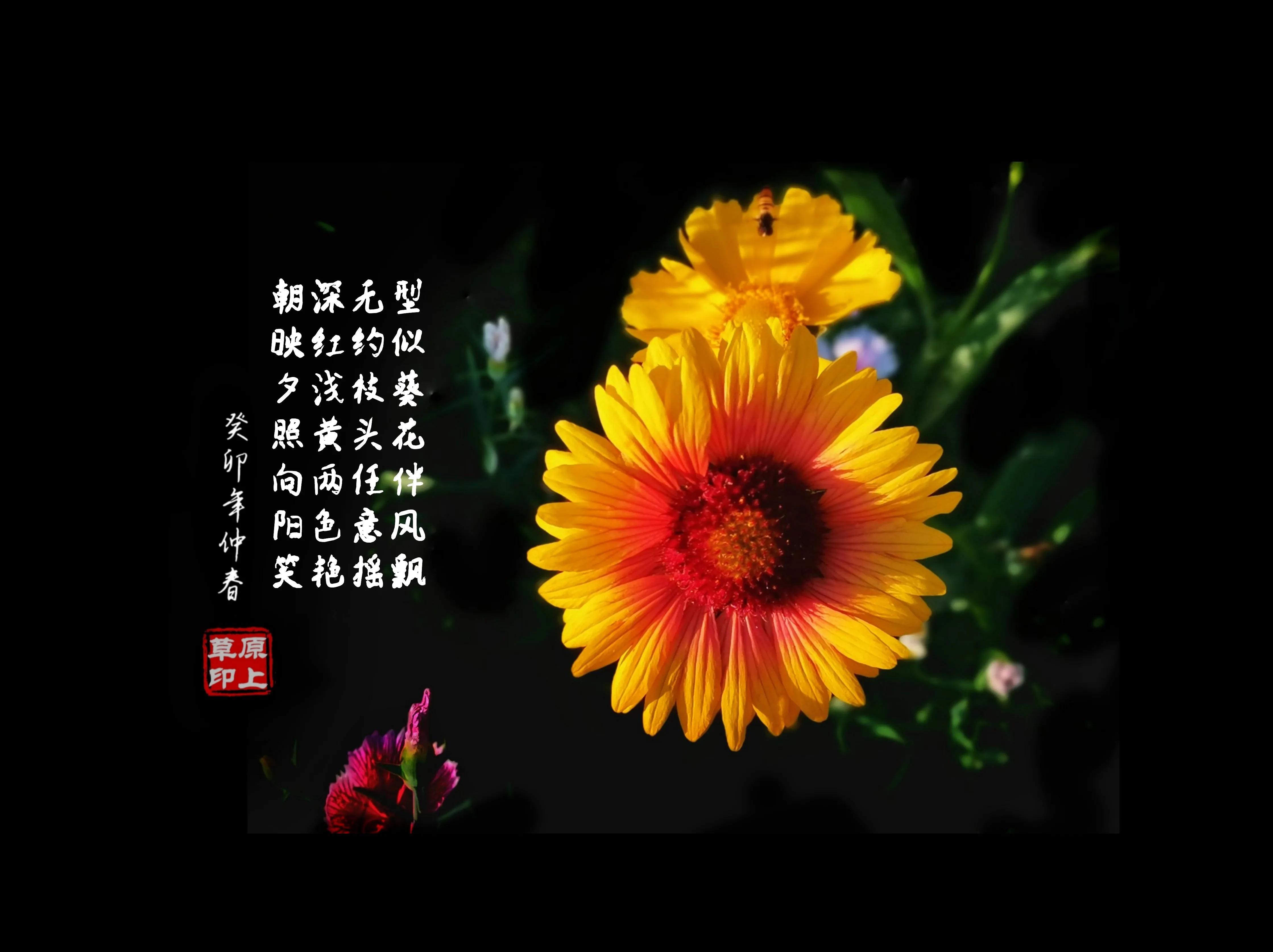 百花酿诗韵芬芳留人间（一）