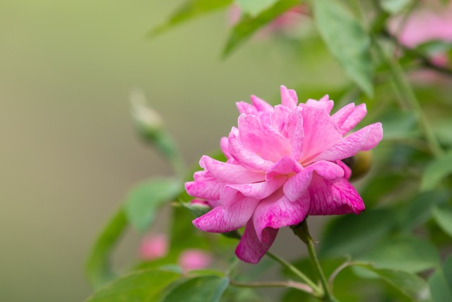 越活越年轻有效的方法,越活越年轻的小妙招