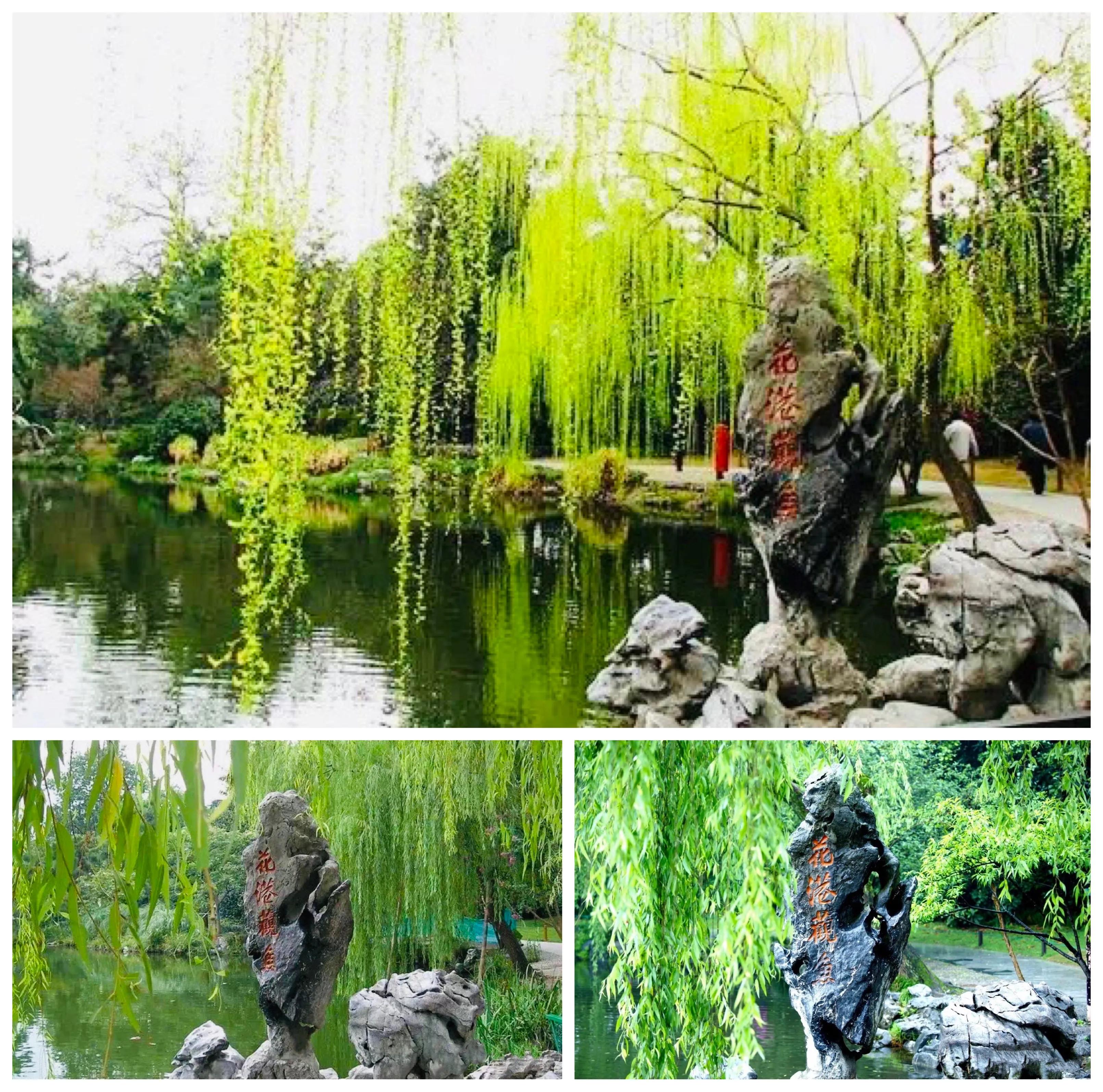 杭州西湖照片,杭州西湖旅游攻略