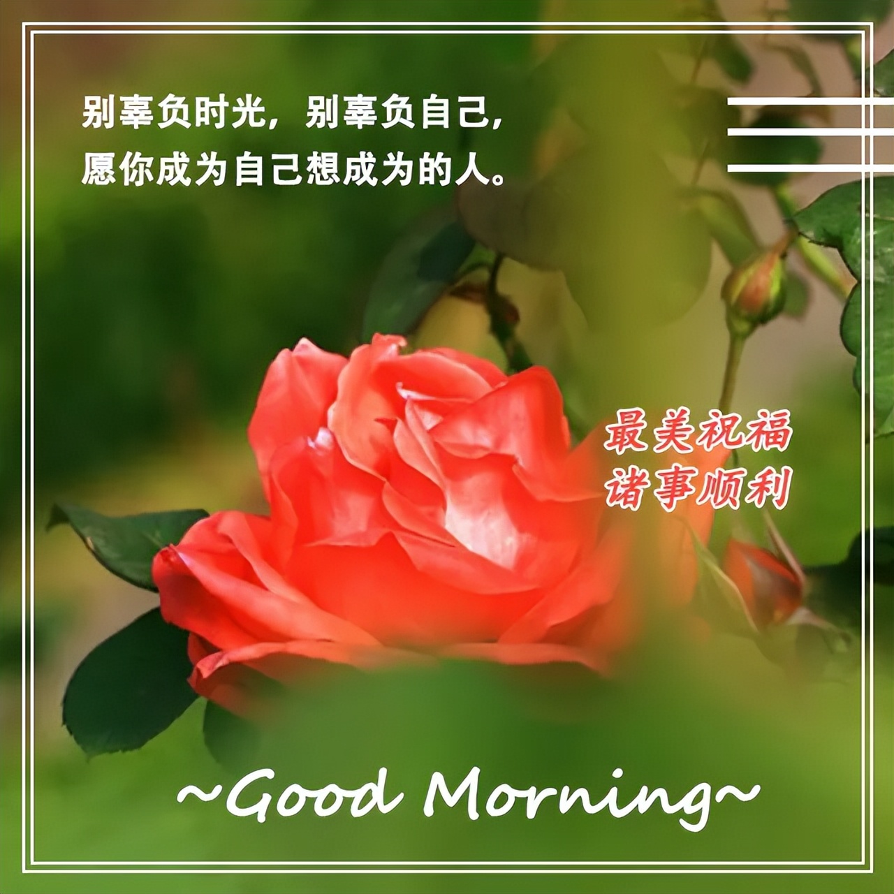 早安愉快带字动态图片,最好看的早安动态图片大全