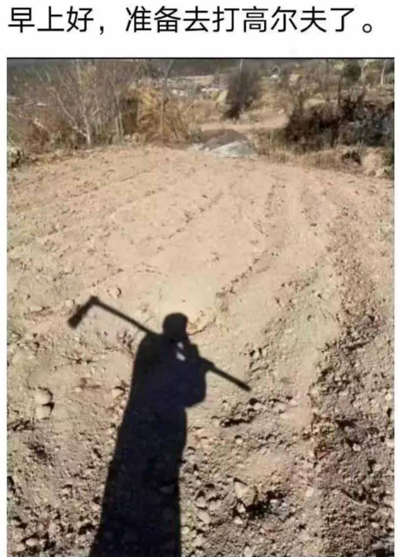 从期待到失望的搞笑表情包,假期结束努力搬砖了的表情包