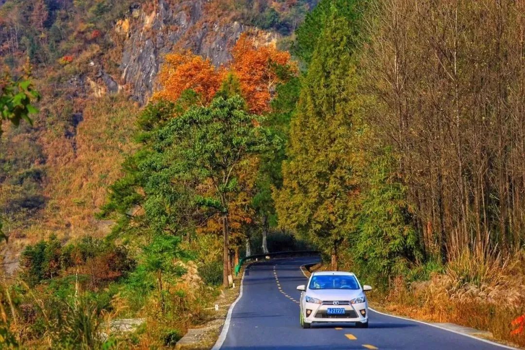 自驾去黄山路线攻略,夏季黄山自驾5条绝美路线攻略