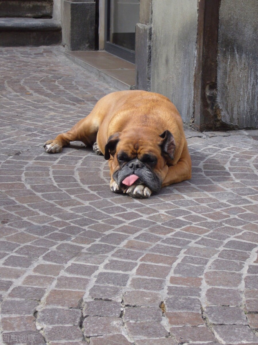 抗疫情手工制作大全创意,疫情之间在家做手工活我是认真的