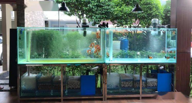 介绍鱼缸过滤系统的视频,一个鱼缸可以装两个过滤系统吗