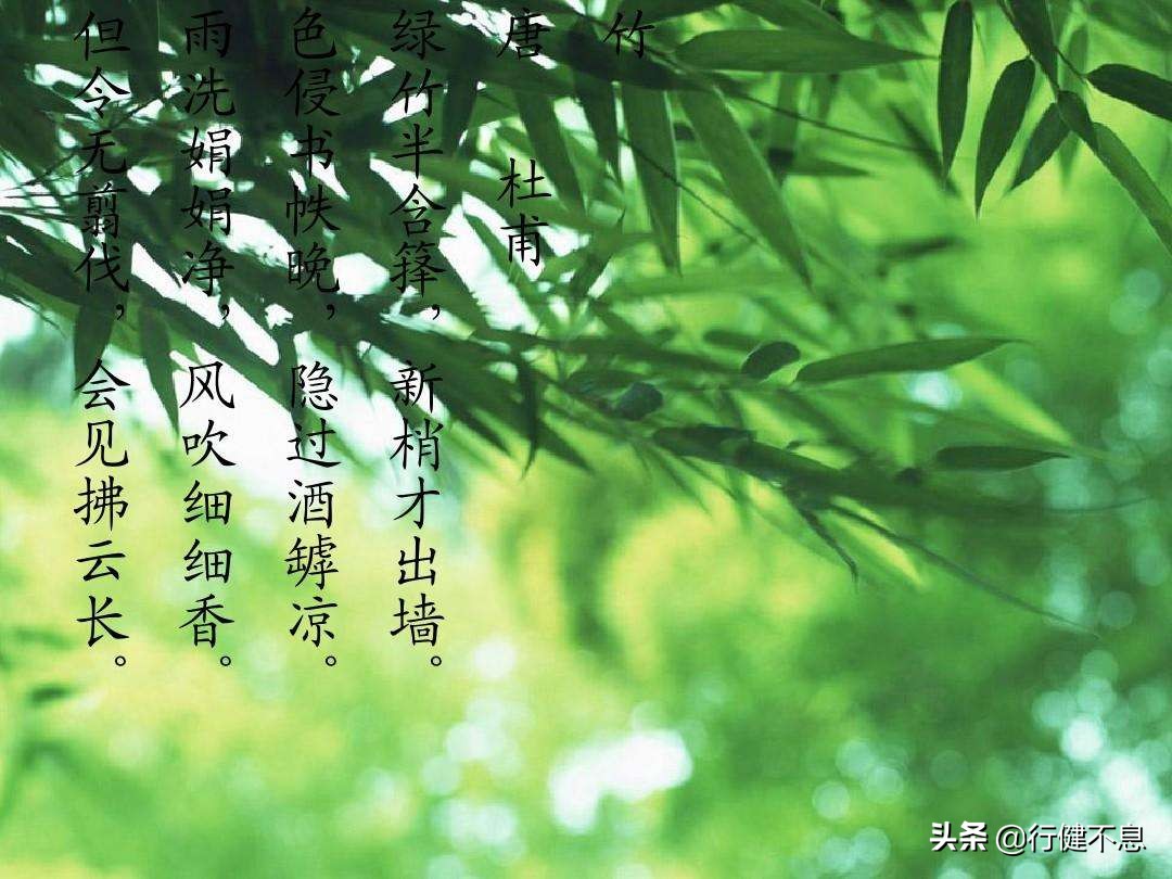 竹解心虚即我师:十二首著名的诗词,展现大诗人们的翠竹情怀