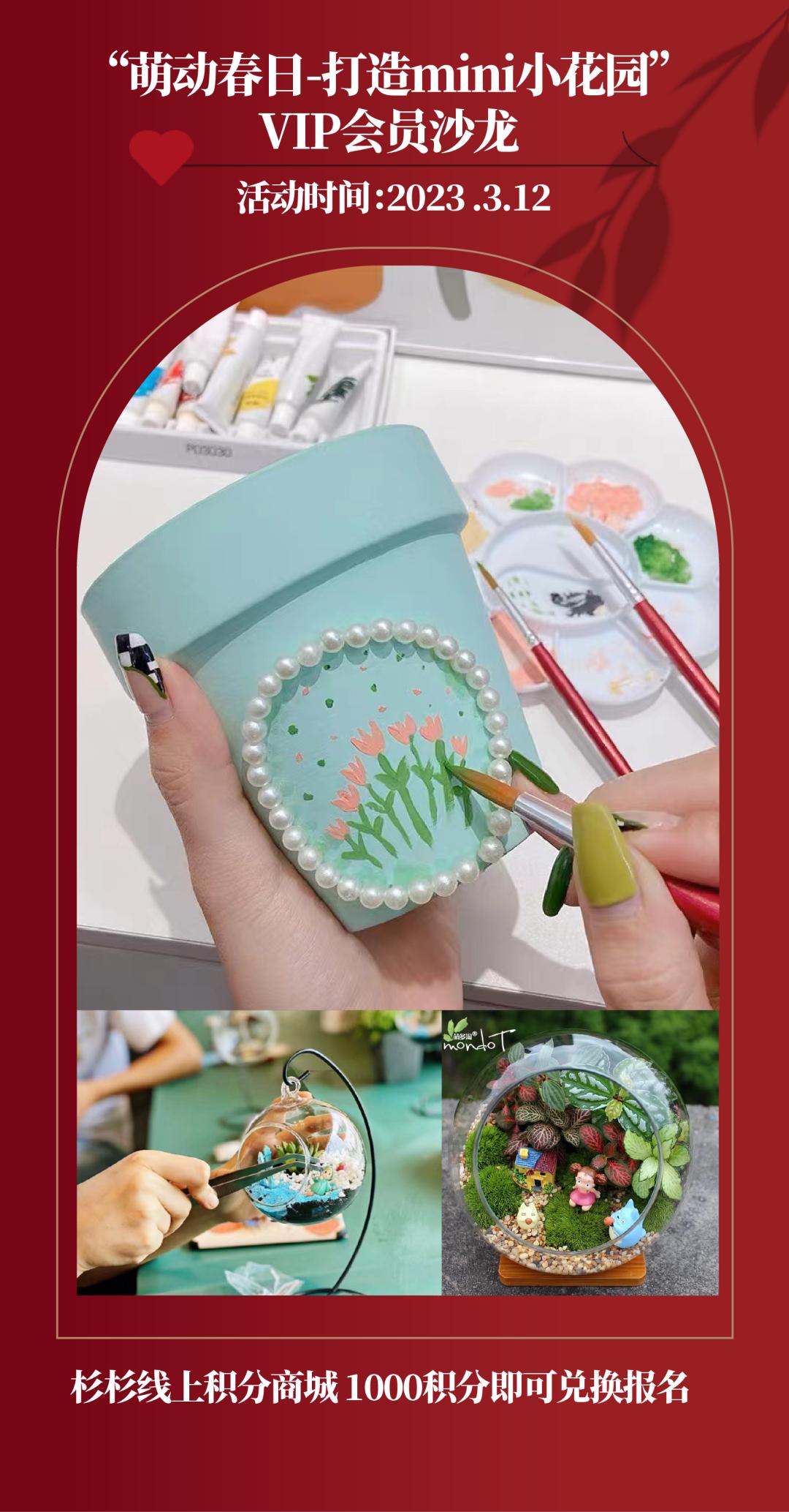 多肉花特价大清仓秒杀包邮,多肉植物满99减10爆款商品