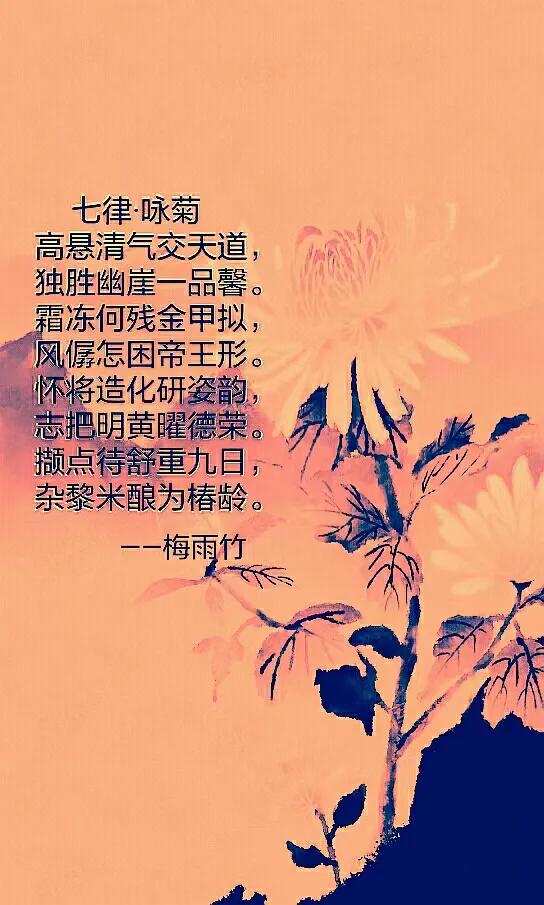 梅雨竹独唱视频,梅雨竹的作品