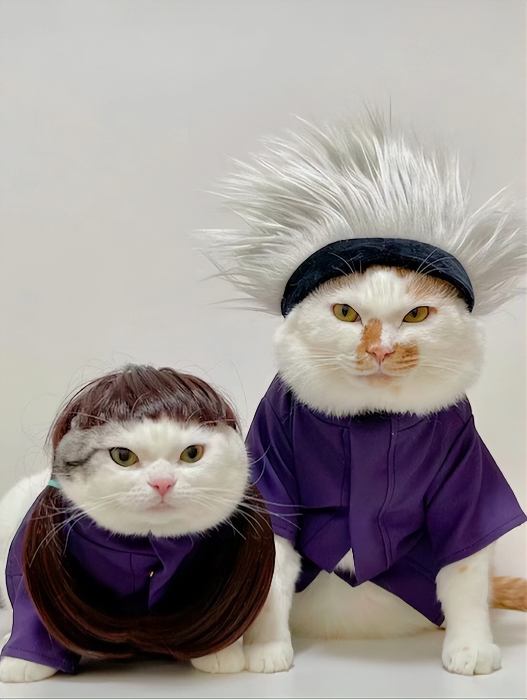 听音乐的葡萄,播放葡萄爱听的音乐