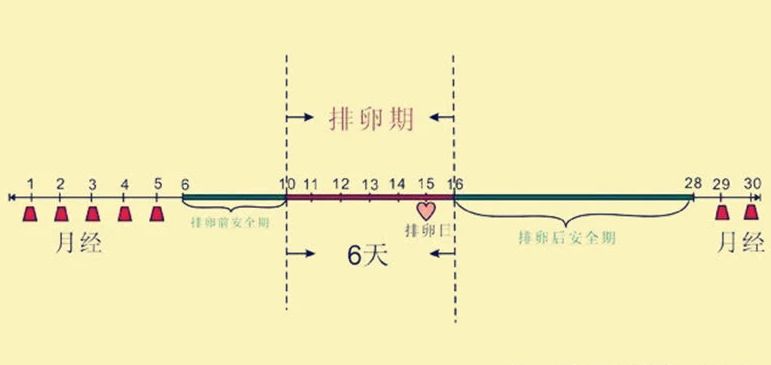 排卵期的4种感觉,排卵期的女性更漂亮吗